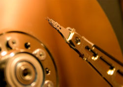250px-Hdhead.jpg