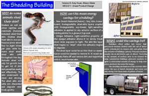 AmyK_Alison--Biomimicry_V2.jpg