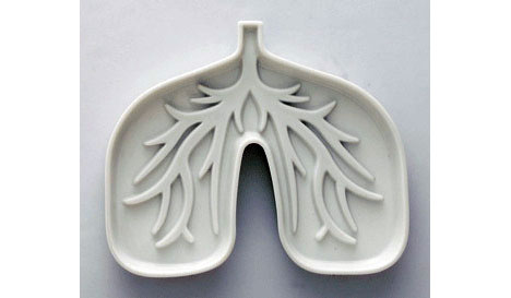 2008-03-11-lungs.jpg