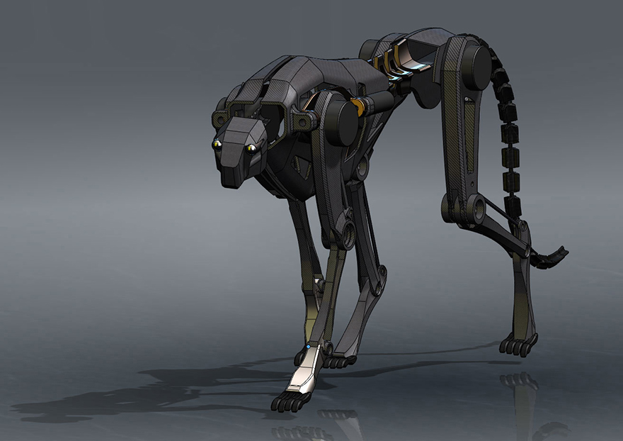 0robocheetahs001.jpg