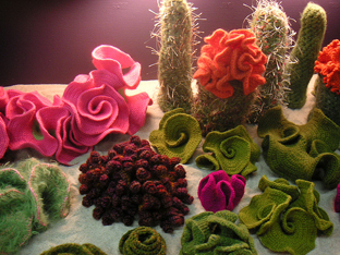 crochetcacti.jpg