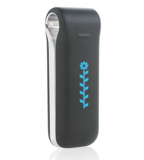 fitbit-flower.jpg