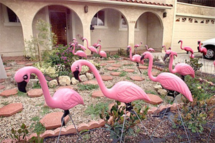 flamingo.jpg