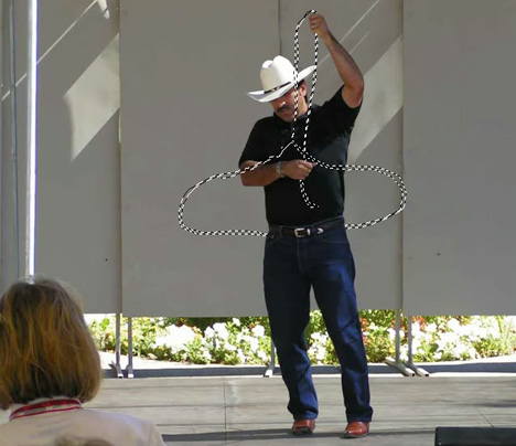 lasso.jpg