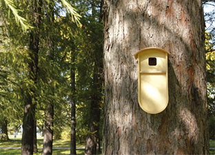 nest.jpg