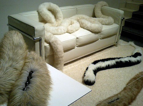 no_constraints_carpet2.jpg