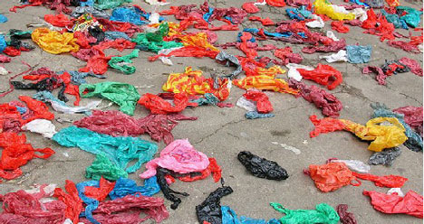 plastbag01.jpg
