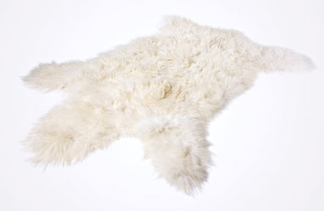 polarbear_03.jpg