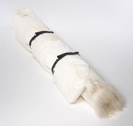 polarbear_04.jpg