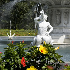 sidebar_SavannahScences03.jpg