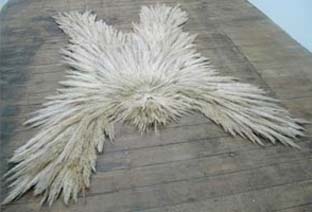 Fantastical taxidermied creatures - Core77 Fantastical taxidermied creatures - Core77