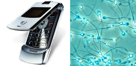 razr_phone.jpg