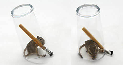 gg09-mouseinapint.jpg