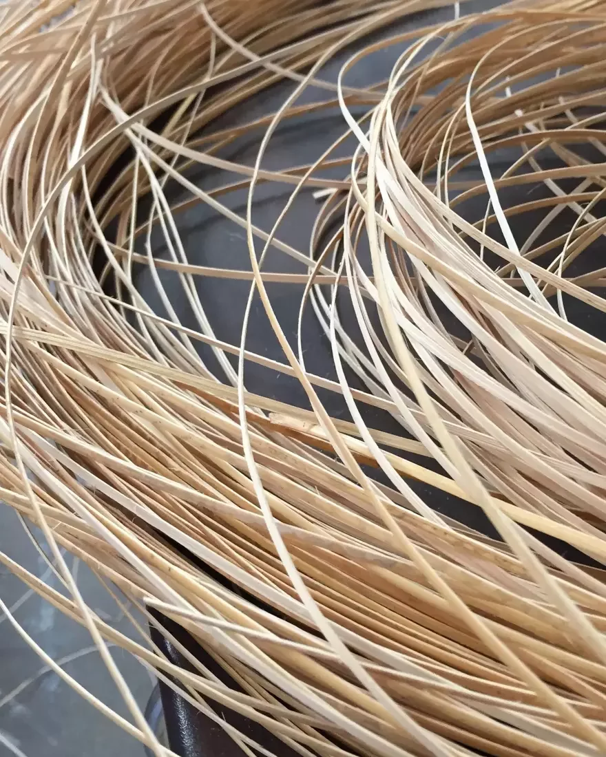 Combining Computational Design with Wicker - Core77