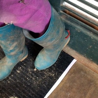 Design Solutions for Boot Jacks, Part 3: The DIY Farmer's Hack and More ...
