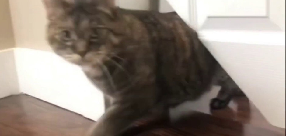 kitty corner door hinge