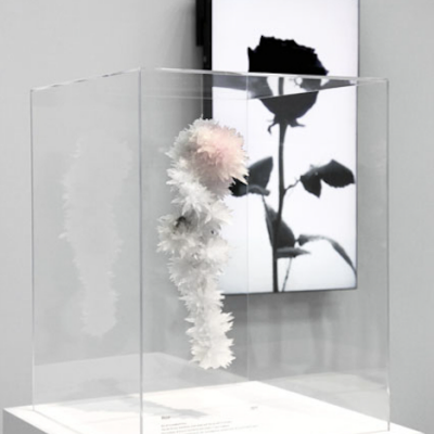 絶版 TOKUJIN YOSHIOKA Crystallize サイン入り本 絶版 TOKUJIN YOSHIOKA Crystallize サイン入り本