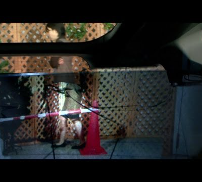 Must-See Video: Finally, an Everyday Use for Optical Camouflage Tech