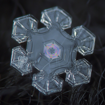 Science Vs. Art, and Proof That Nature is a Better Geometric Designer Than You Will Ever Be
