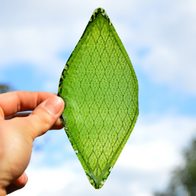 Breaking: Art Student Makes Synthetic Leaf, Solves Everything