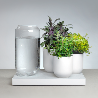 'Tableau' and Other Auto-Irrigation Systems for Tortured House-Plants