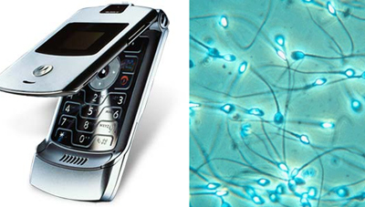 Cell Count - Core77